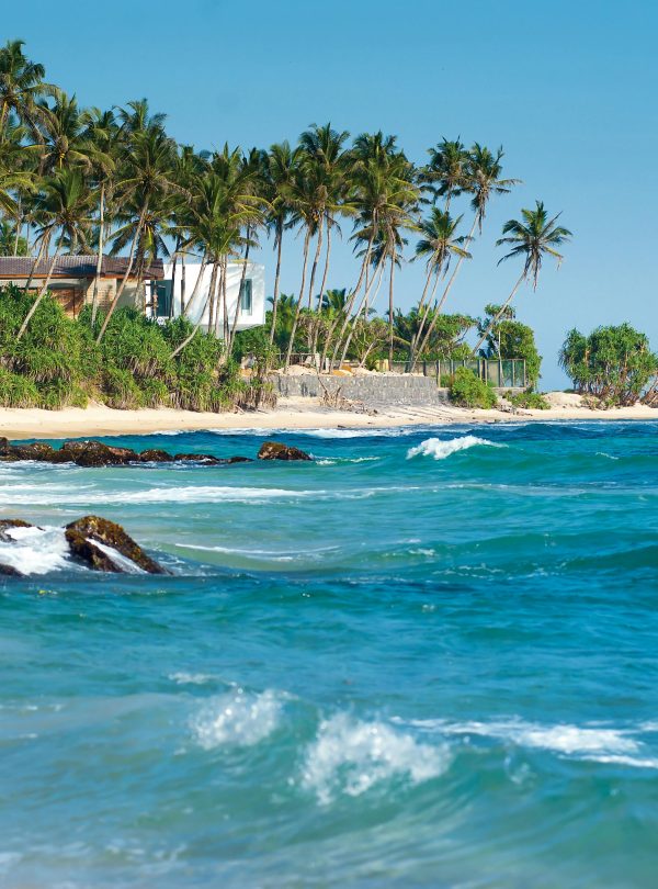 Serene Sri Lankan beach with palm trees and turquoise ocean waves.
