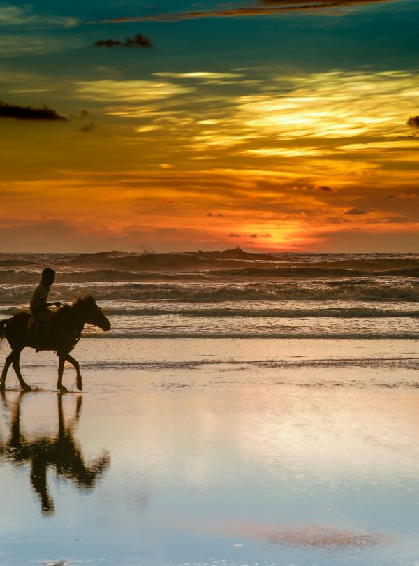 A dramatic silhouette of horseback riding at sunset on Cox's Bazar beach, Bangladesh.
